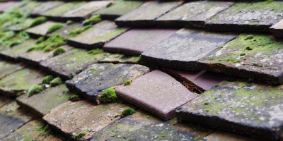 Betws roof repair costs